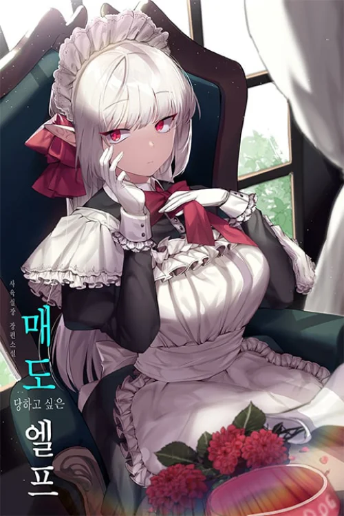 Elf Who Likes To Be Humiliated