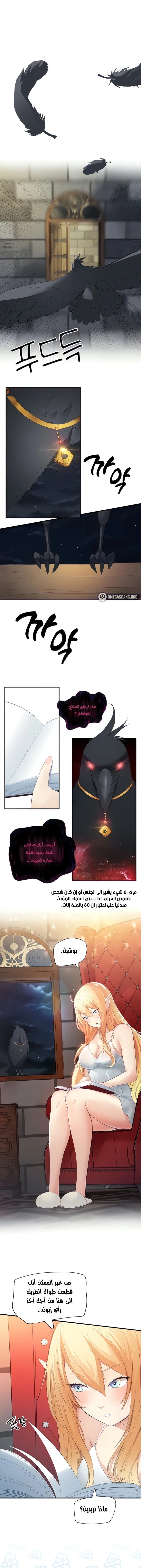 الصفحة 1