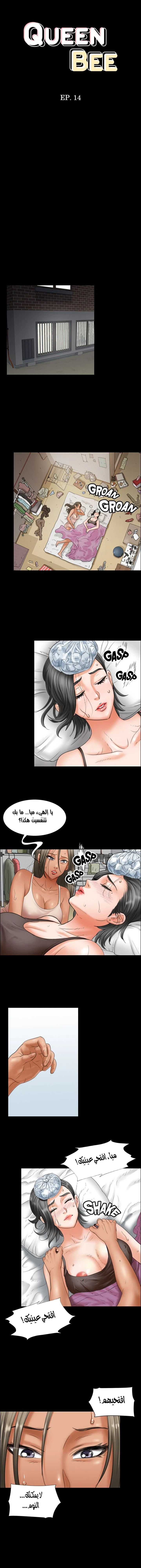 الصفحة 1
