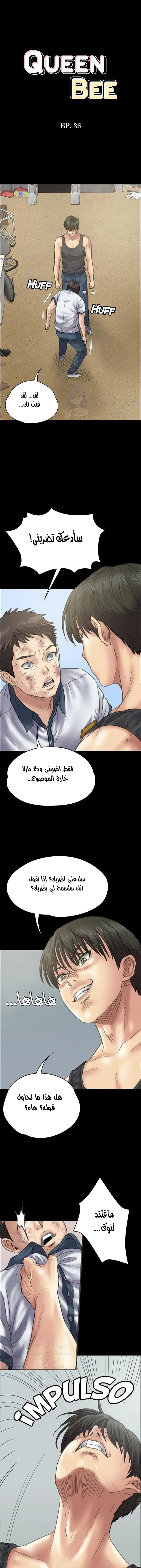 الصفحة 1